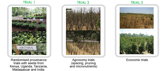 Agronominc Trial