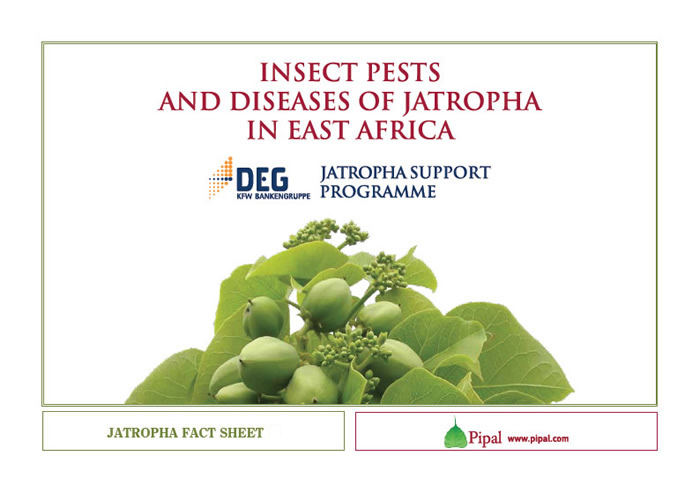 Insect Pest and Diseases of Jatropha in East Africa